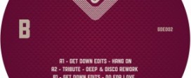 GDE002-12-inch-label-info-side-300x298