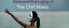 Paul Hardcstle - Rainforest-What's Going On (The Chill Mixes)